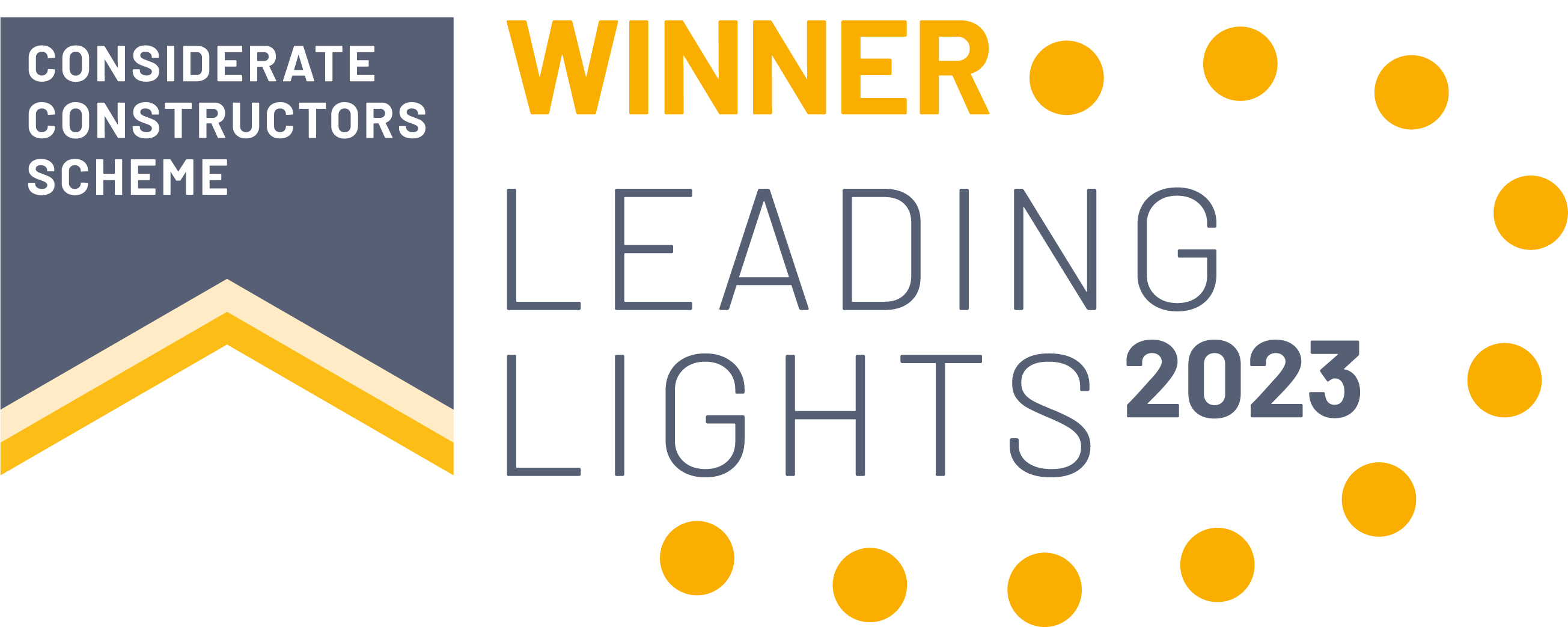 Leading Lights award winner